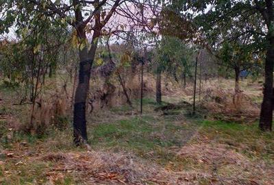 Casa / Vila de vanzare - 5