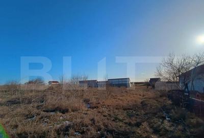 Teren intravilan 2500mp, Malu Mare! - 3