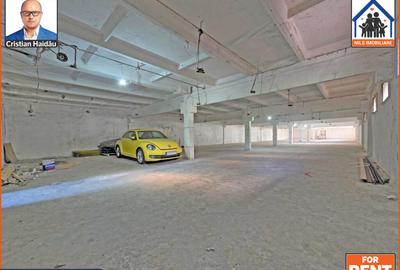 Hale de inchiriat in 1 Decembrie Ilfov | NILS Imobiliare - 5