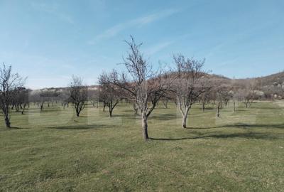 Teren intravilan cu suprafa?a de 9ha, Aninoasa - 7