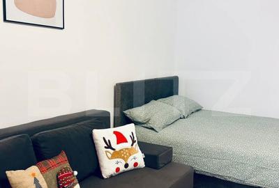 Garsonieră în Brazda lui Novac - 8