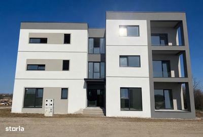 Apartament cu 2 camere în Remetea Mare - 2