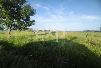 Teren Construcții intravilan de 21494 mp, în Albota - 3