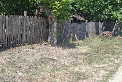 Casă cu 3 camere cu Teren 10000 Mp în Răduțești - 2