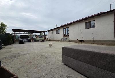 Casă cu Teren 460 Mp în Mineri - 14