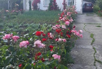 Casă în Tâncăbești - 7