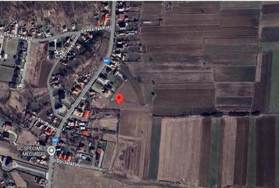 Cota de 1/2 din teren 2356 mp om. Mihaesti, jud Valcea - 3
