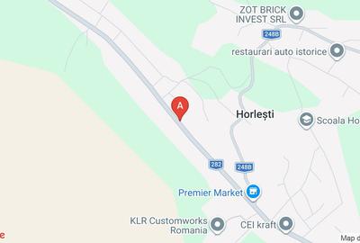 Teren Construcții intravilan de 18000 mp, în Horlești (Rediu) - 1
