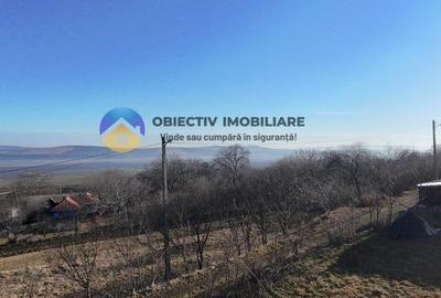 Teren intravilan DOBRENI - 6