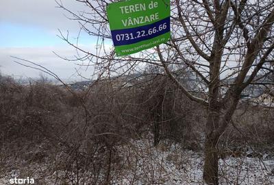 Teren de 11000 mp, în Tomești - 5