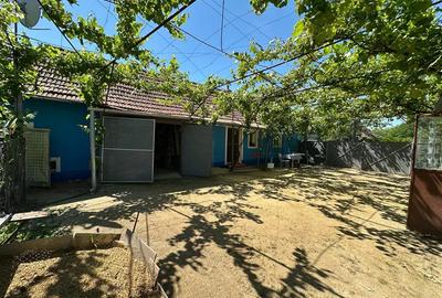 Casă individuală cu 2 camere cu Teren 1501 Mp în Birda - 15