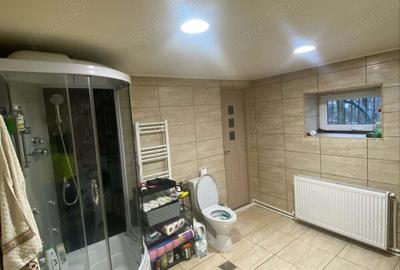 Vand casa in Pestisu Mic - 9