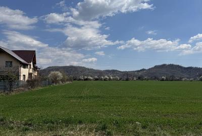 Teren de 4500 mp, în Exterior Vest - 5