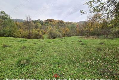 Casă cu Teren 14340 Mp în Breaza - 11