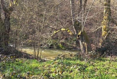 Teren în Prigor - 2