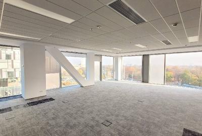 City Gate, Presei Libere, 300 - 7200 mp  0% comision! City Gate, Presei Libere, 300 - 7200 mp  0% comision! - 12