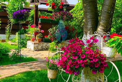 Casă cu 5 camere cu Canalizare în Bucium - 4