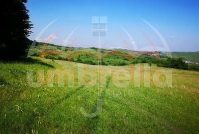 Teren de vanzare in Cluj-Napoca, Strada Soporului 2.900 mp - 2
