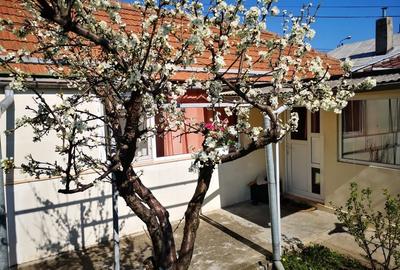 Casă cu 3 camere în Brătianu - 2