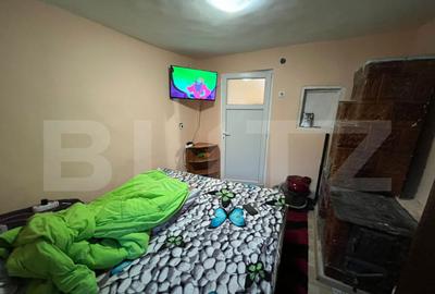 Casa de vanzare, 420 mp teren - 2