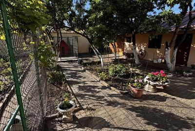 Casă cu 4 camere în Terezian - 6