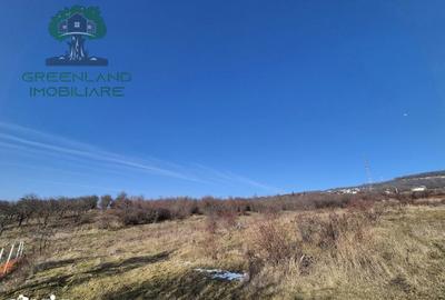 Teren de 560 mp, în Bârnova - 4