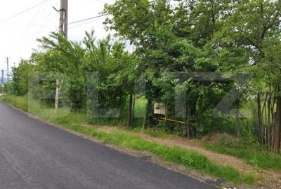 Casă cu 7 camere cu Teren 6700 Mp în Central