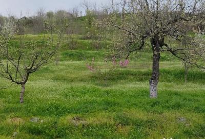 Teren de 500 mp, în Somova - 1