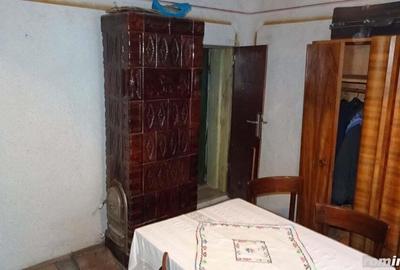 Vand casa curte si gradina in Branisca (la 15 Km de Municipiul Deva), suprafata de teren 2245 mp - 7