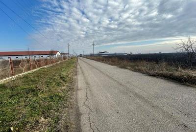 Vand teren intravilan,zona industriala,st.16,8 ha. + 8 ha.agricol,in Sanicolau Mare, la DN6,la sosea - 6