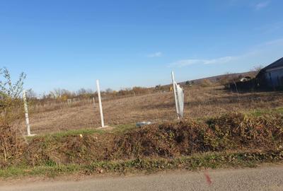 Teren de 8071 mp, în Lipănești - 4