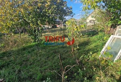 Casa de vanzare 2 camere zona Barabant - 13