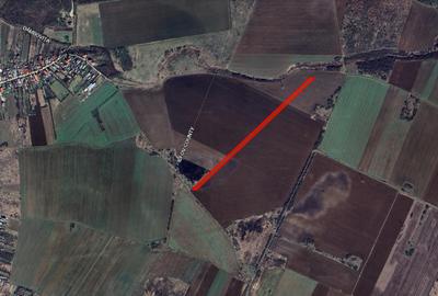 Teren agricol extravilan de 14000 mp, în Periș - 3