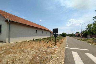 Casă cu 6 camere cu Teren 2656 Mp în Cenei - 2
