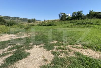 Teren intravilan, 1540 mp, 32 mp front, Corusu - 1