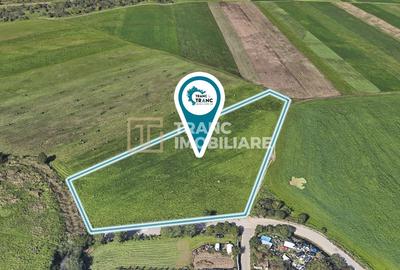 Teren Construcții intravilan de 11500 mp, în Sânnicolau Mic - 4