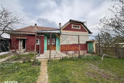 Casă cu 4 camere cu Teren 1654 Mp în Cefa - 13