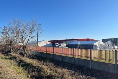 Teren intravilan, Sacadat, 27 921 mp. 9,5 Euro/mp. Comi... - 2