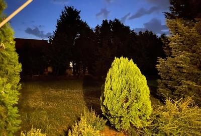 Vand vila deosebita in Dumbravita -Timisoara - 9