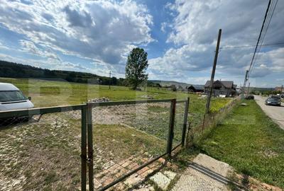 ???? Teren intravilan de vanzare Tarpiu, la 10 km de B - 3