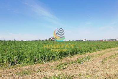 Teren Construcții intravilan de 450 mp, în Frumușani - 3