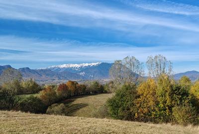 5800 mp fineata, pretabil camping, constructii A-frame, Sohodol, Bran - 7