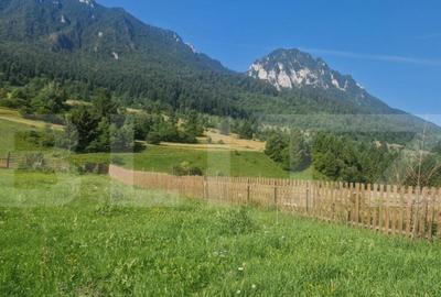 Teren Plaiul Foii, vedere spre muntii Bucegi si apa Barsa 10 Teren Plaiul Foii, vedere spre muntii Bucegi si apa Barsa 10 - 7