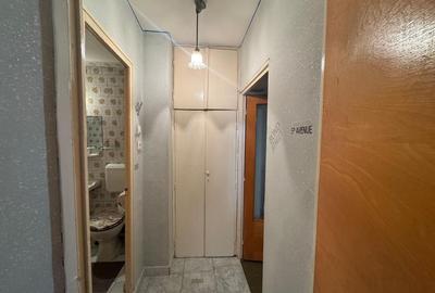 2 Camere Campia Libertatii Pet friendly - 13