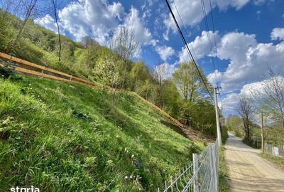 Teren de 4360 mp, în Valea Doftanei - 6
