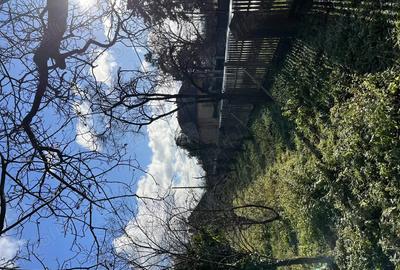 Vand casa cu teren in Paulis - 8