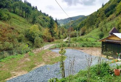 Casa de vanzare in Bistra -1700 mp teren - 7