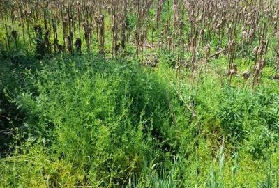 Spațiu comercial, în Boțești - 1