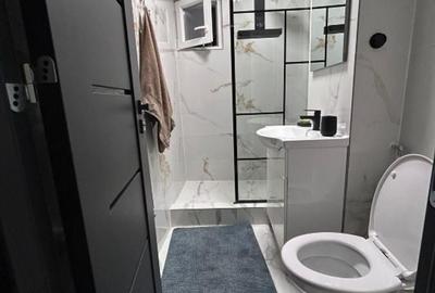 Apartament cu 2 camere, mobilat în Iancului - 10