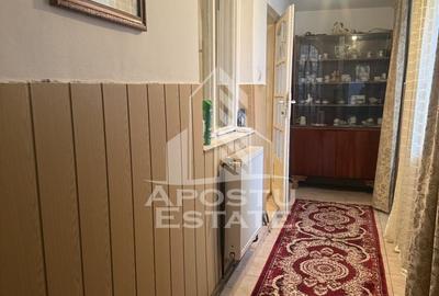 Casa individuala cu teren mare in Remetea Mare - 5